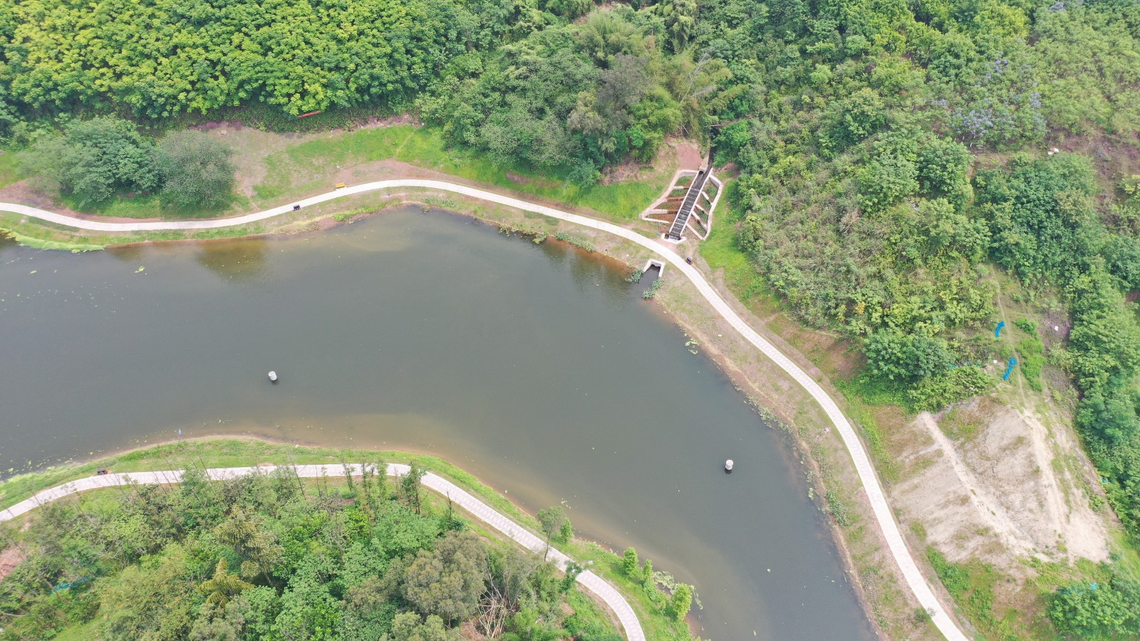 BB贝博艾弗森园林绿化维护